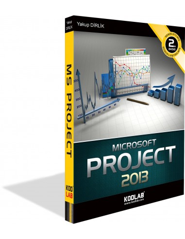 MS PROJECT 2013