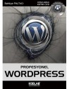 PROFESYONEL WORDPRESS